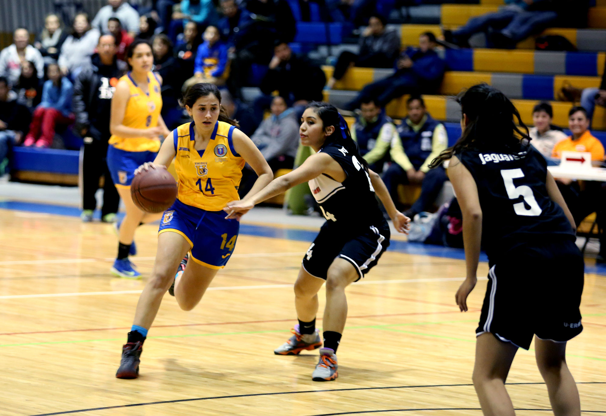 Arrasan Tigres en liga ABE de basquetbol - Universidad Autónoma de Nuevo  León