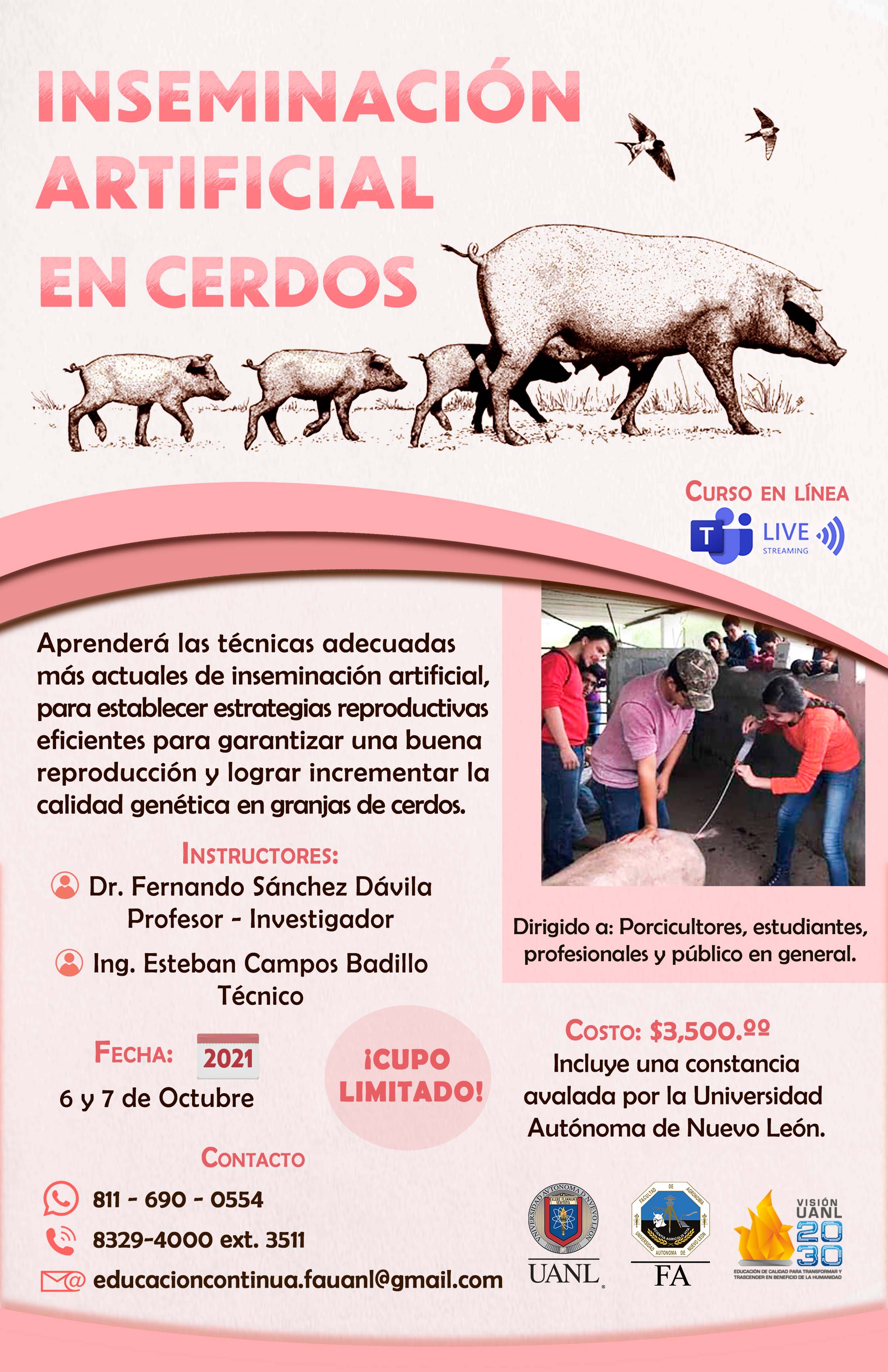 Inseminación Artificial en Cerdas - Universidad Autónoma de Nuevo León